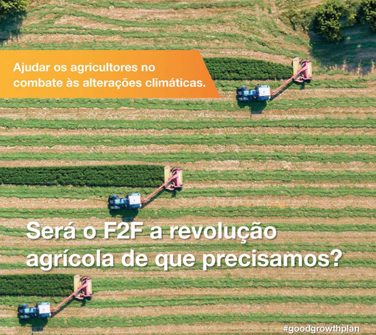 Syngenta Portugal